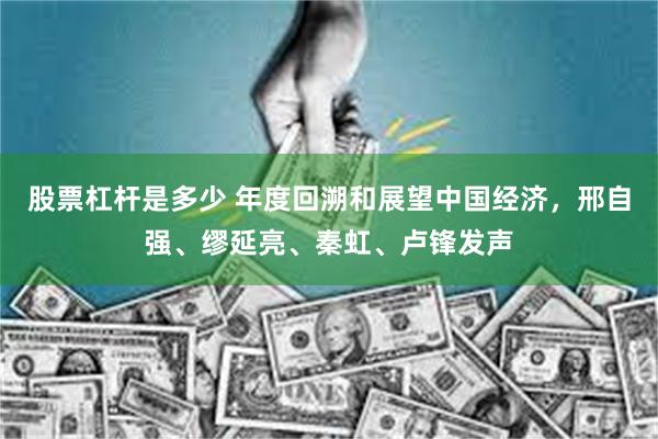 股票杠杆是多少 年度回溯和展望中国经济，邢自强、缪延亮、秦虹、卢锋发声