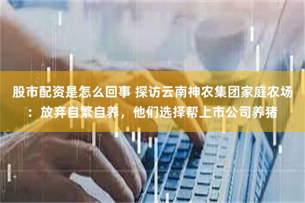 股市配资是怎么回事 探访云南神农集团家庭农场：放弃自繁自养，他们选择帮上市公司养猪