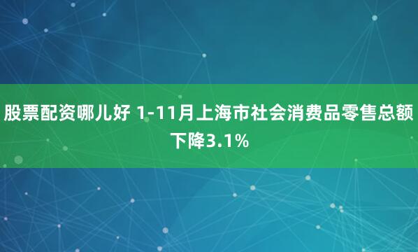 股票配资哪儿好 1-11月上海市社会消费品零售总额下降3.1%