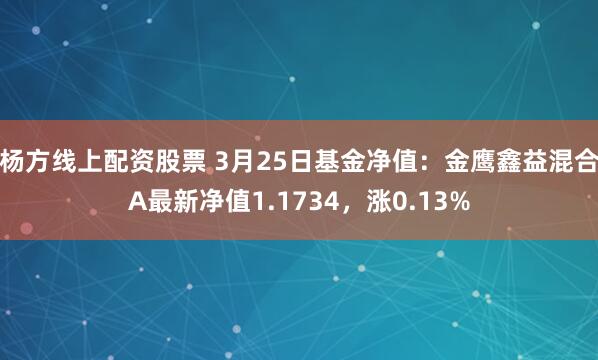 杨方线上配资股票 3月25日基金净值：金鹰鑫益混合A最新净值1.1734，涨0.13%