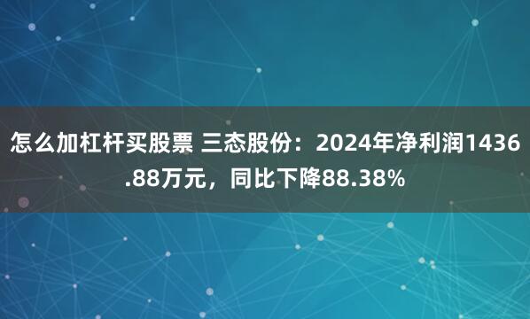怎么加杠杆买股票 三态股份：2024年净利润1436.88万元，同比下降88.38%