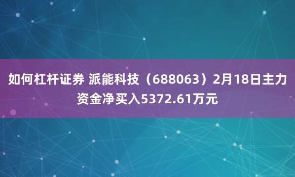 如何杠杆证券 派能科技（688063）2月18日主力资金净买入5372.61万元