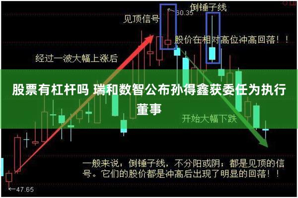 股票有杠杆吗 瑞和数智公布孙得鑫获委任为执行董事