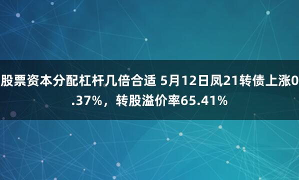 股票资本分配杠杆几倍合适 5月12日凤21转债上涨0.37%，转股溢价率65.41%