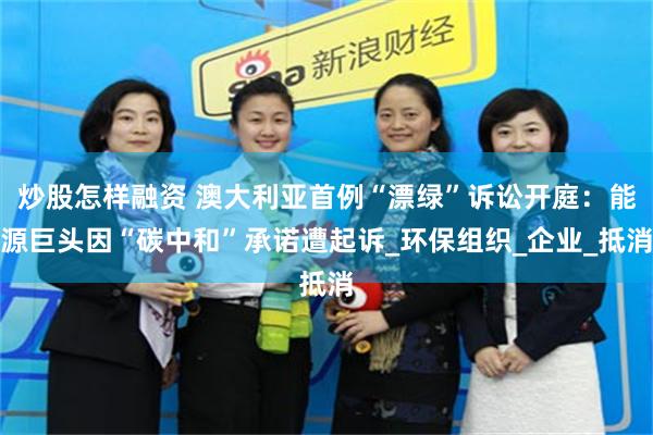 炒股怎样融资 澳大利亚首例“漂绿”诉讼开庭：能源巨头因“碳中和”承诺遭起诉_环保组织_企业_抵消