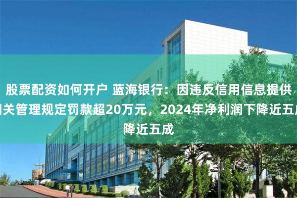 股票配资如何开户 蓝海银行：因违反信用信息提供相关管理规定罚款超20万元，2024年净利润下降近五成