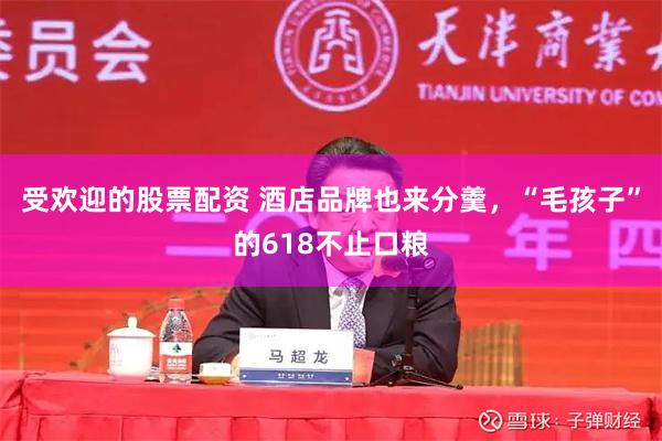 受欢迎的股票配资 酒店品牌也来分羹，“毛孩子”的618不止口粮