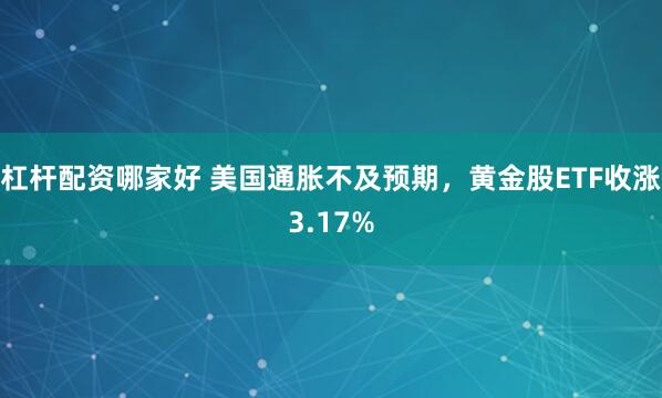 杠杆配资哪家好 美国通胀不及预期，黄金股ETF收涨3.17%