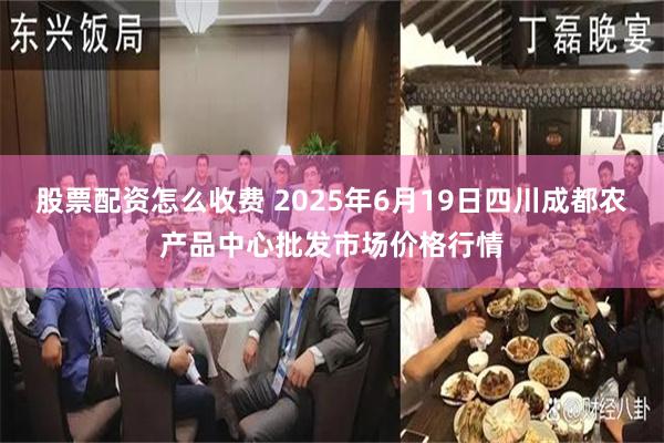 股票配资怎么收费 2025年6月19日四川成都农产品中心批发市场价格行情