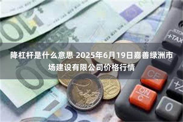 降杠杆是什么意思 2025年6月19日嘉善绿洲市场建设有限公司价格行情