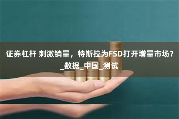 证券杠杆 刺激销量，特斯拉为FSD打开增量市场？_数据_中国_测试