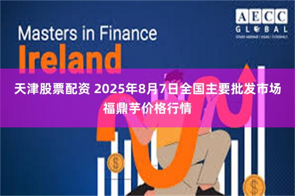 天津股票配资 2025年8月7日全国主要批发市场福鼎芋价格行情