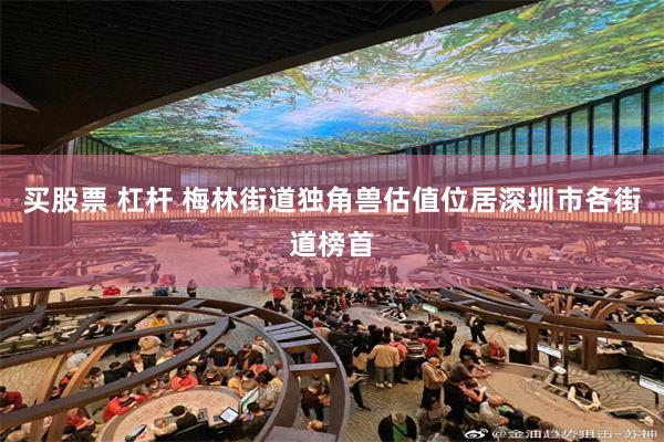 买股票 杠杆 梅林街道独角兽估值位居深圳市各街道榜首