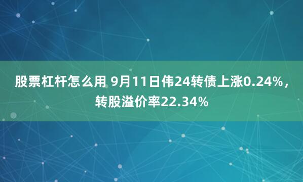 股票杠杆怎么用 9月11日伟24转债上涨0.24%，转股溢价率22.34%