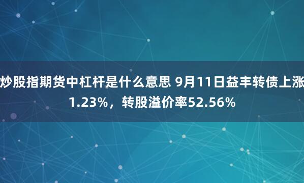 炒股指期货中杠杆是什么意思 9月11日益丰转债上涨1.23%，转股溢价率52.56%