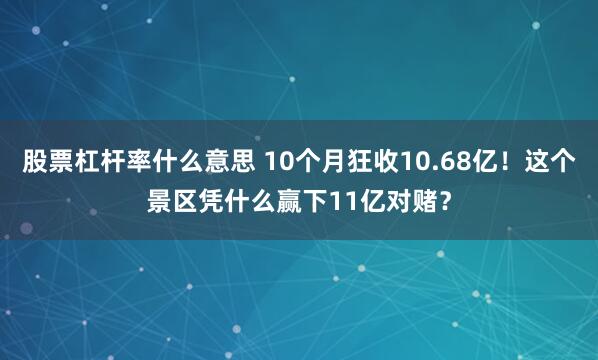 股票杠杆率什么意思 10个月狂收10.68亿!这个景区凭什么赢下11亿对赌?